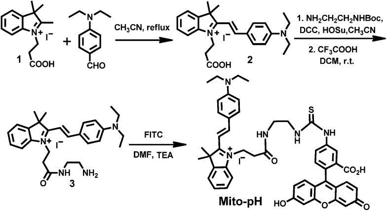 Scheme 2