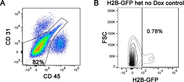 Figure 1—figure supplement 1.