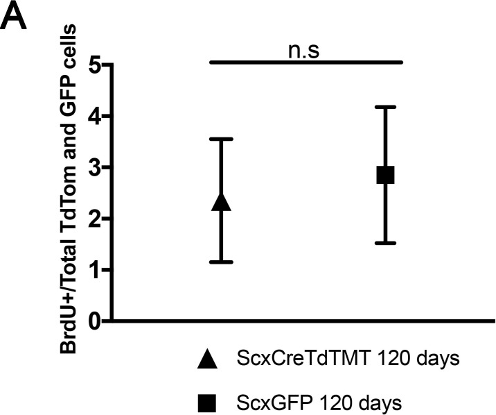 Figure 3—figure supplement 1.