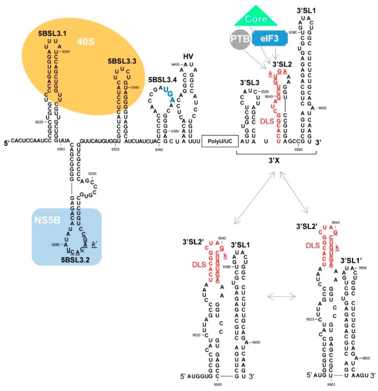 Figure 5