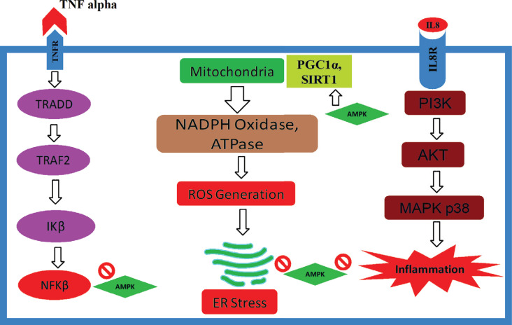 Fig. (2)