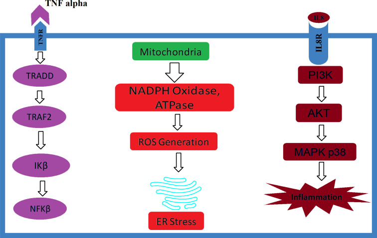 Fig. (1)