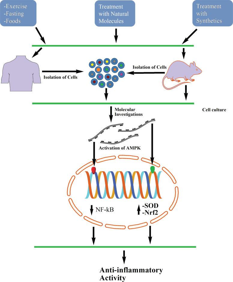 Fig. (4)