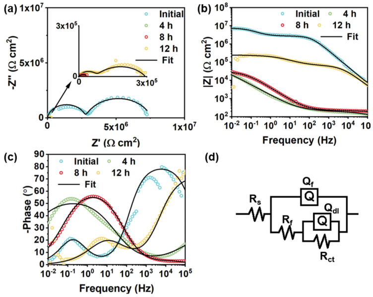Figure 12
