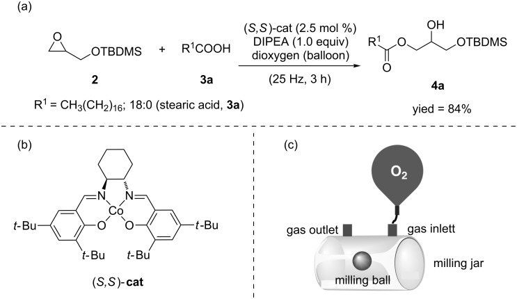 Scheme 3