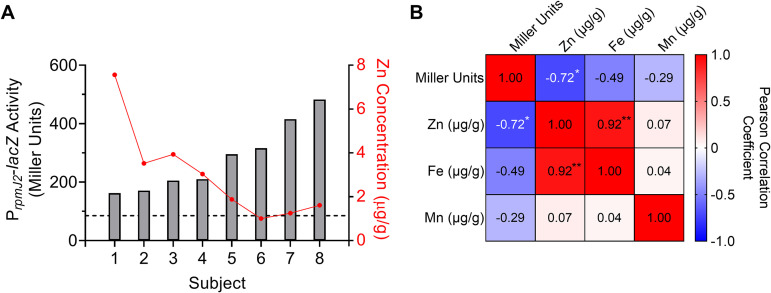 FIG 2