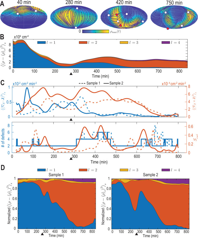 Figure 2—figure supplement 1.