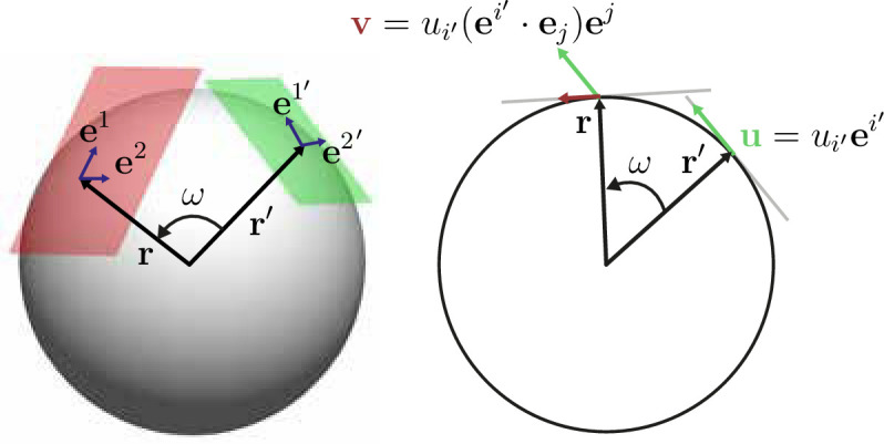 Appendix 1—figure 1.