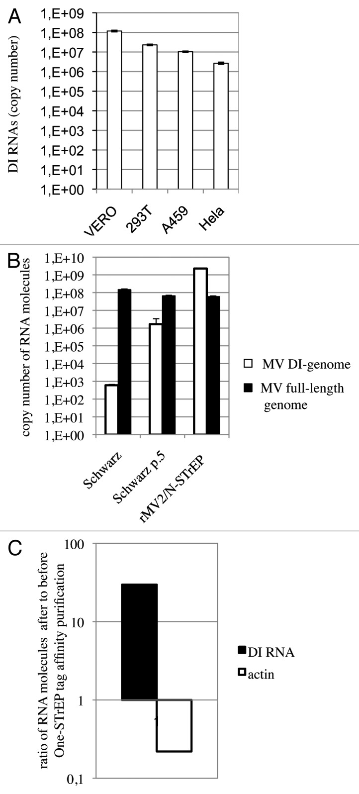 graphic file with name rna-10-943-g4.jpg