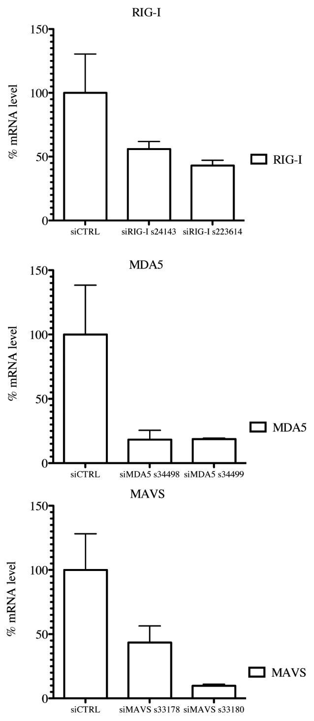 graphic file with name rna-10-943-g6.jpg