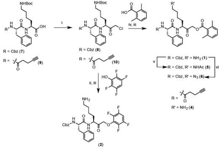 General synthesis schema.