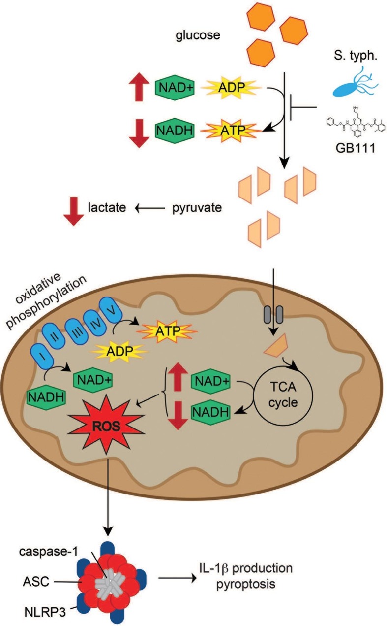 Figure 10.