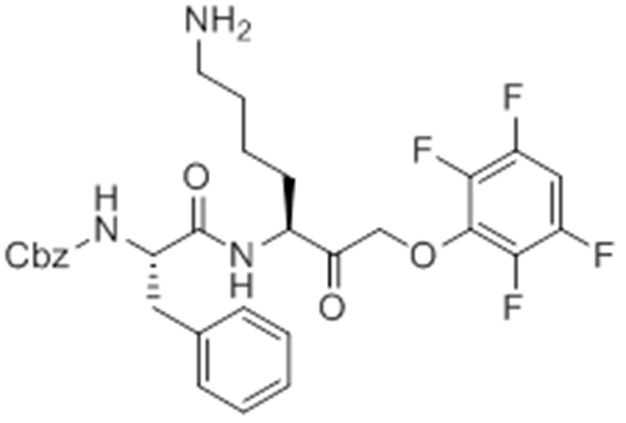 Chemical structure 9.