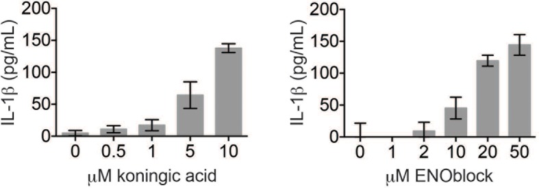 Figure 3—figure supplement 2.