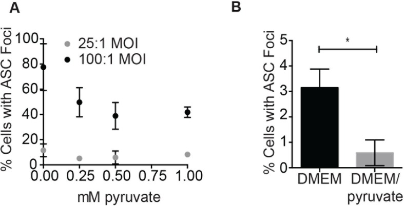 Figure 9—figure supplement 1.