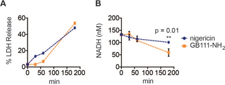 Figure 5—figure supplement 1.