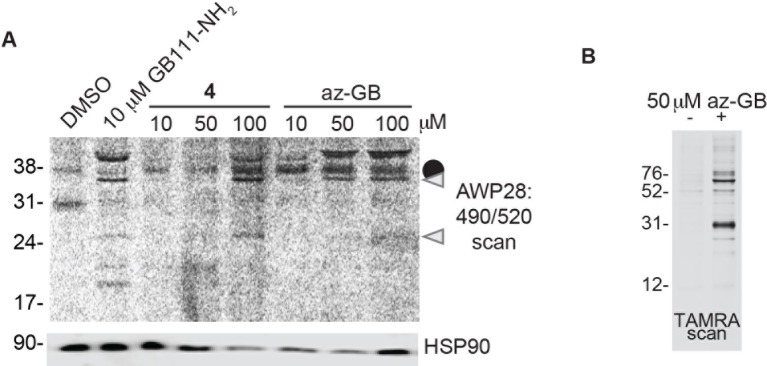 Figure 2—figure supplement 1.