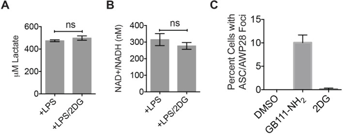 Figure 5—figure supplement 2.