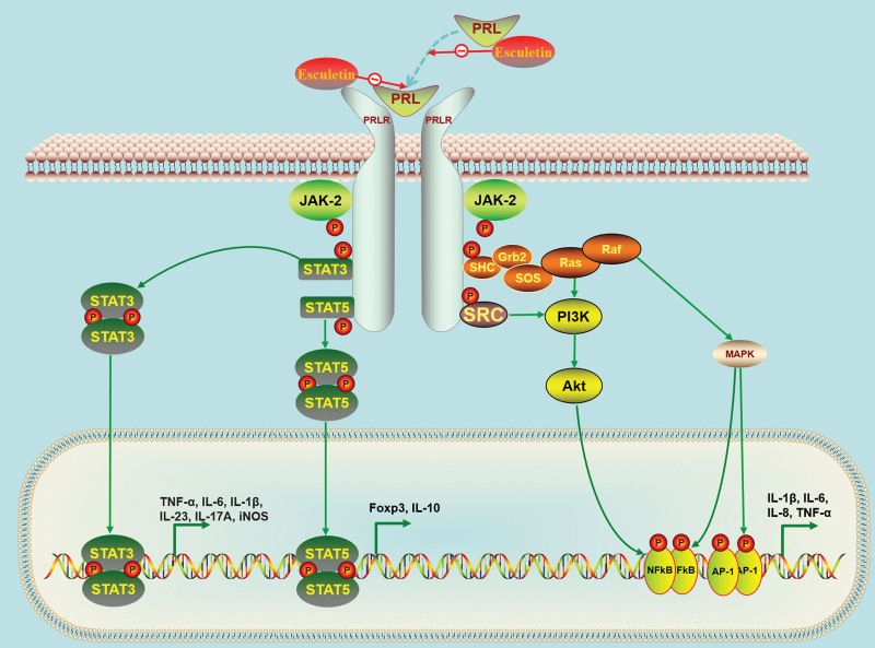 Figure 6.