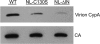 FIG. 5.