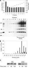 FIG. 6.