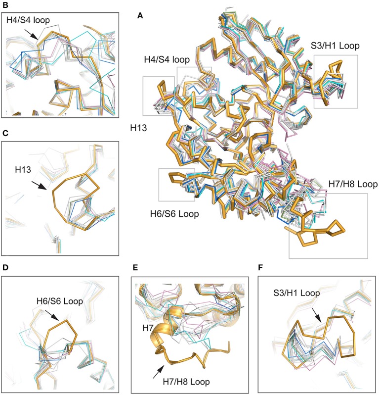 Figure 5