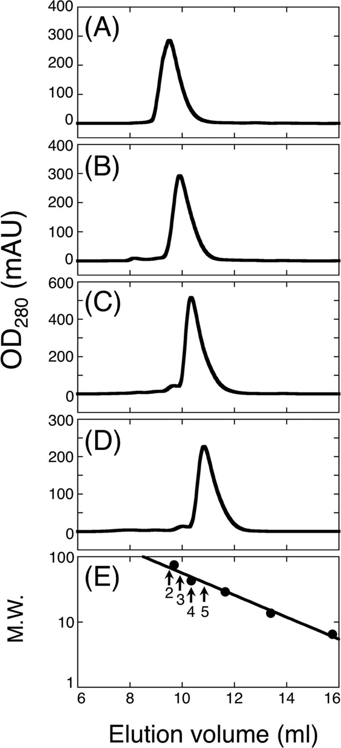 Fig. 2.