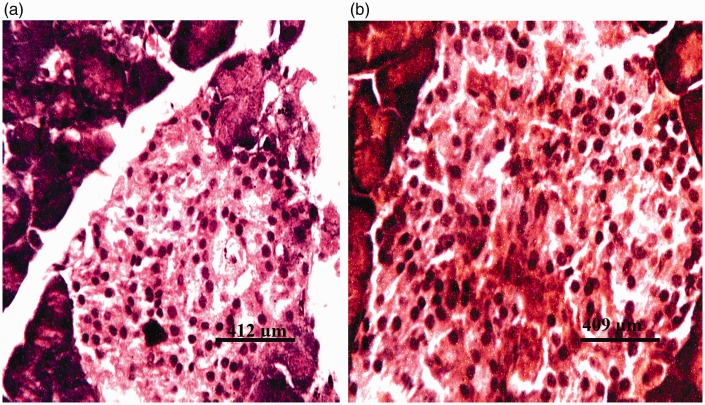 Figure 9.