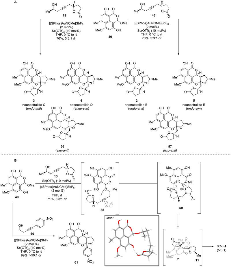 Scheme 11.