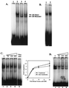 FIG. 6