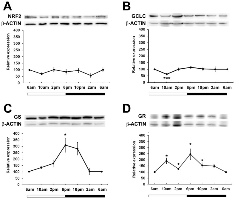 Figure 4