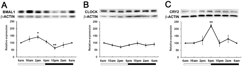 Figure 3