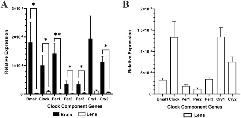 Figure 1