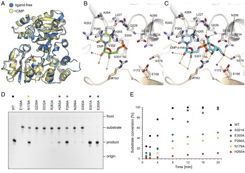 Fig. 6.