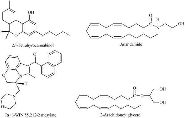 Fig. (1)