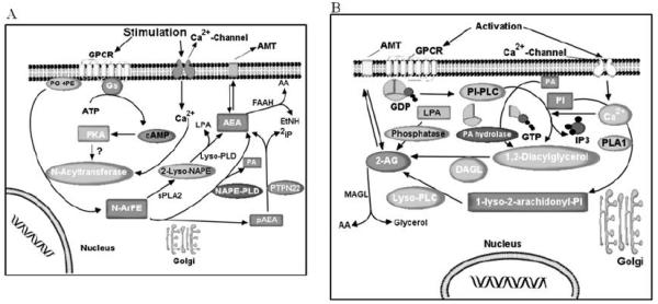 Fig. (4)