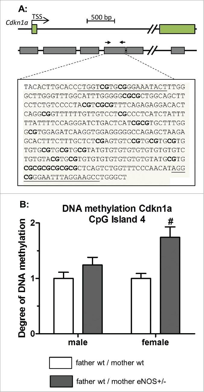 Figure 10.