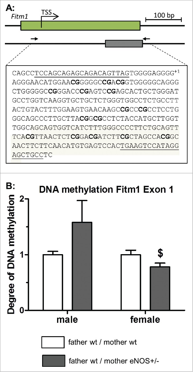 Figure 9.