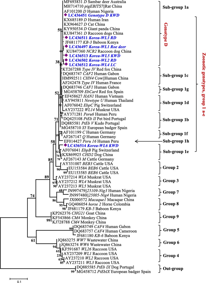 Fig. 2