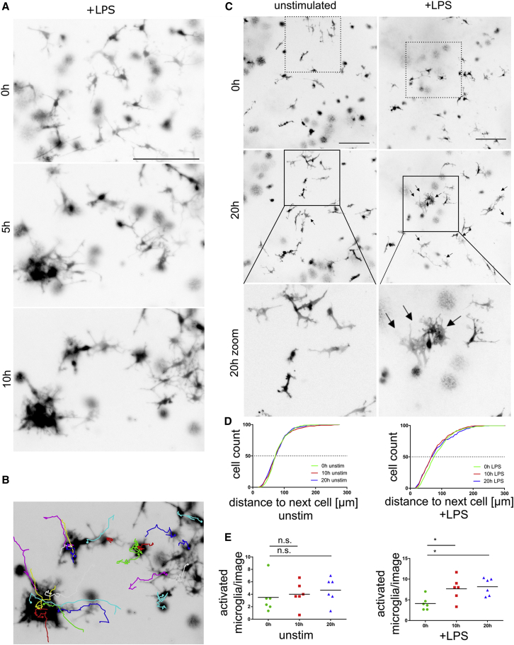 Figure 6