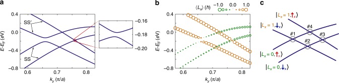 Fig. 3