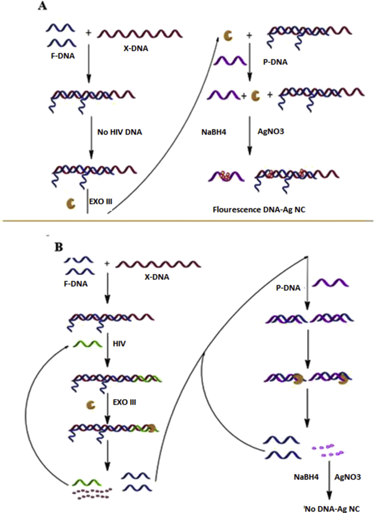 Figure 7