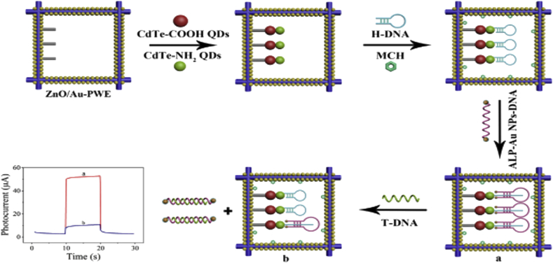 Figure 11