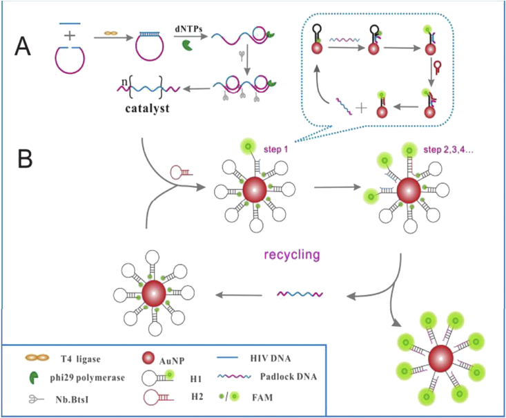 Figure 6