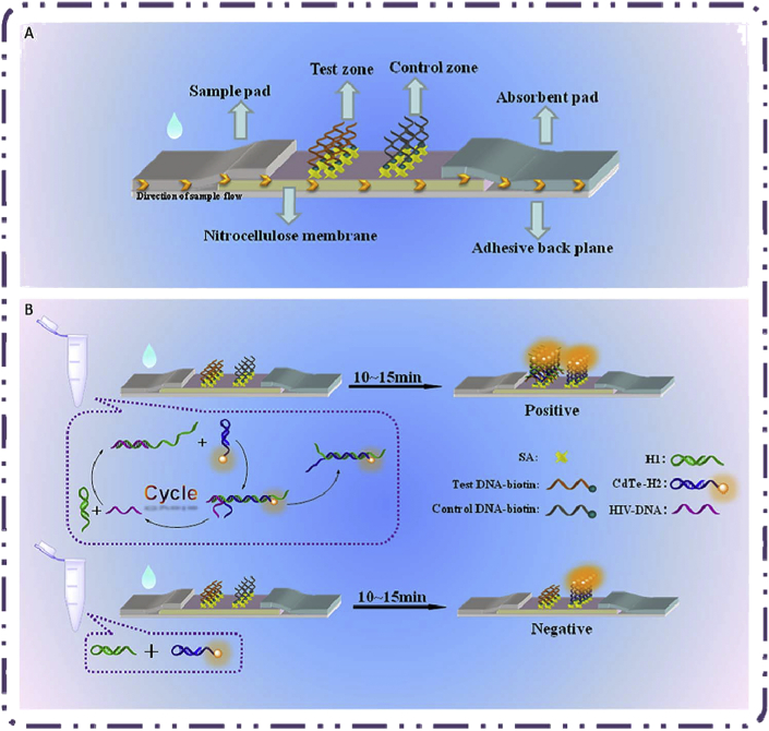 Figure 3