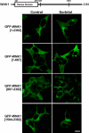 Figure 9.