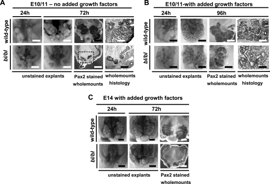 Figure 3.