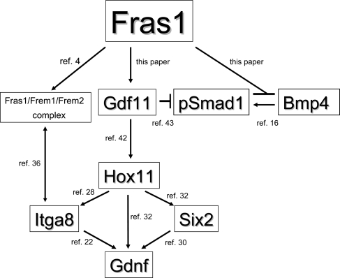 Figure 7.