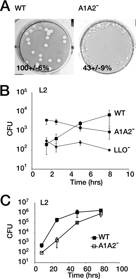 FIG. 5.