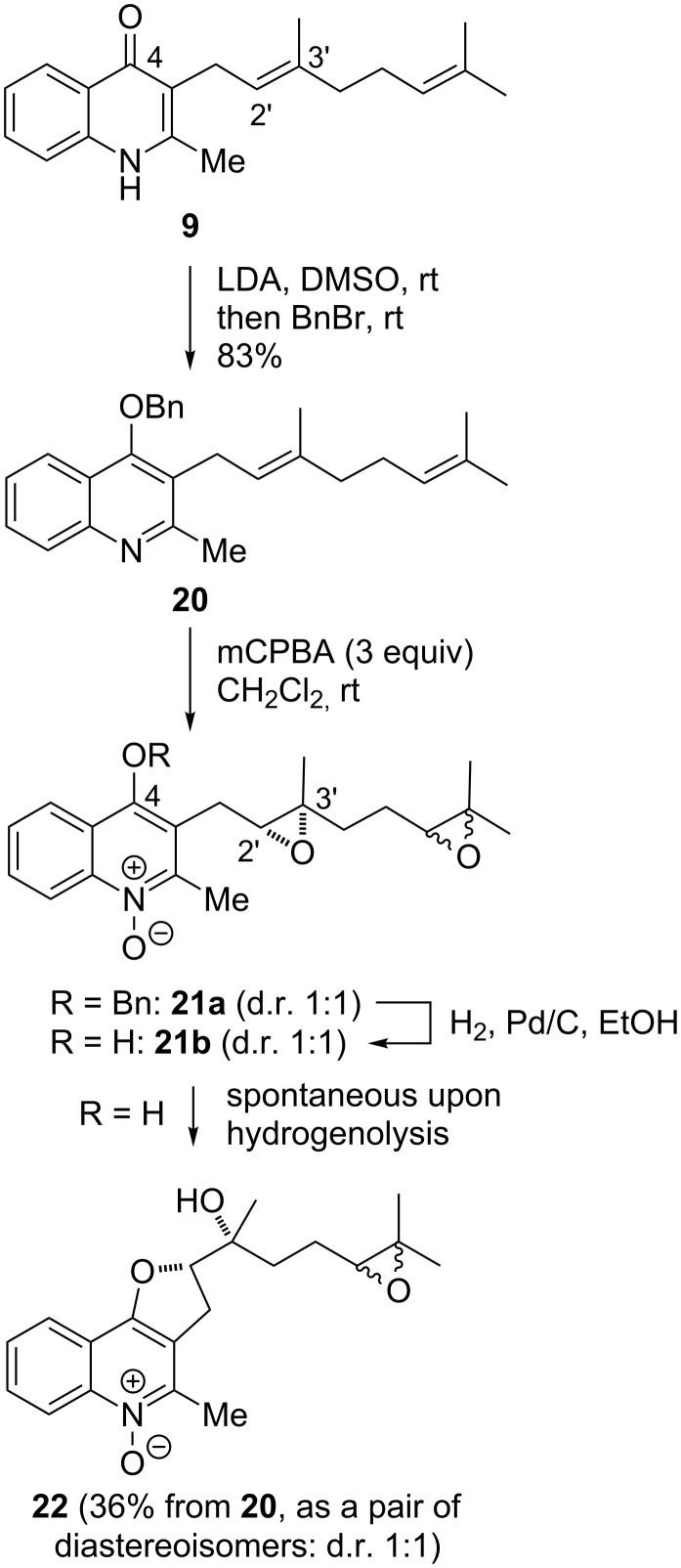 Scheme 2